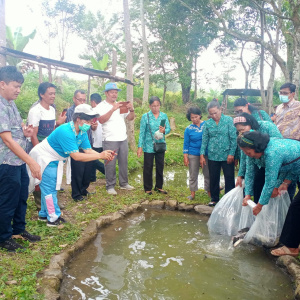 Penyerahan Benih Ikan Nila Sebanyak 1000 Ekor dari UPTD Balai Benih Ikan Lumban Pea Tambunan kepada Desa Longat Binaan PKK Kabupaten Toba