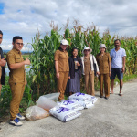 Penyerahan Pakan dan Bibit Ikan Nila, Mas, dan Lele Kepada Masyarakyat/Pokdakan oleh Bidang Perikanan pada Dinas Ketahanan Pangan dan Perikanan Kabupaten Toba
